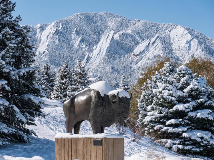 Buffalo statue in the snow with the flat iron mountains in the background