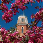 Blossoms in front of Old Main at CU Boulder
