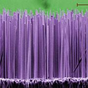 Rogers Group Graphic - Gallium Nitride Nanowires