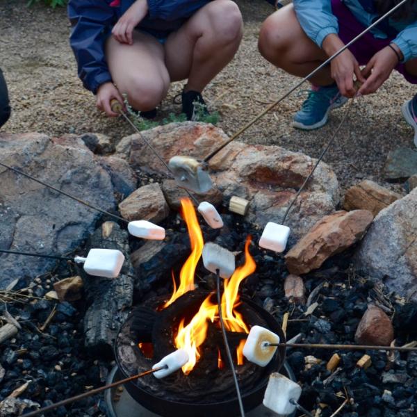PLC 2016 makes smores