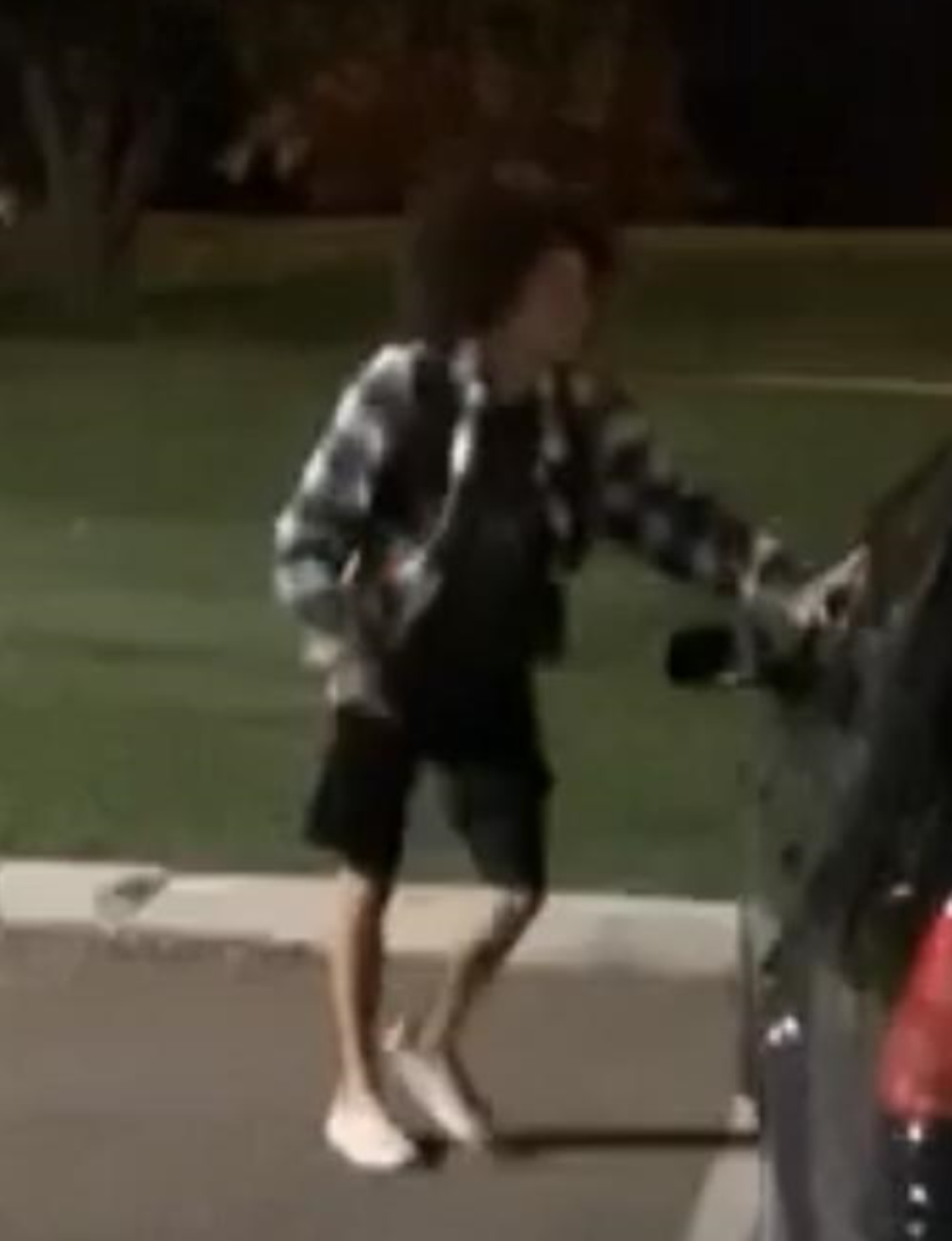 Video screen capture of the possible suspect