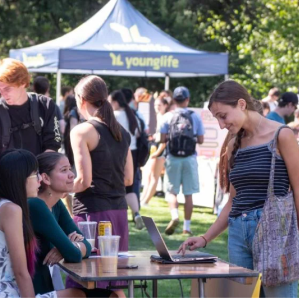 Student Organization