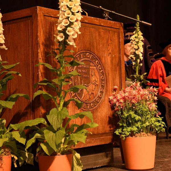 graduation