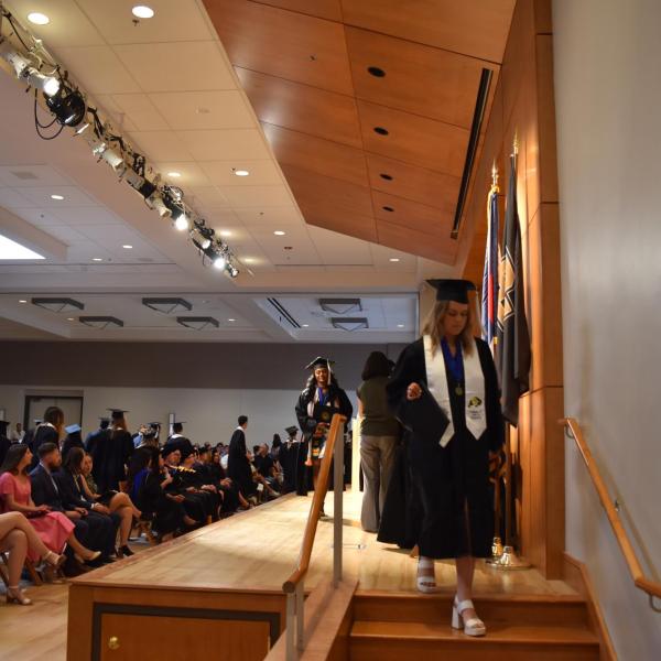 Undergraduates