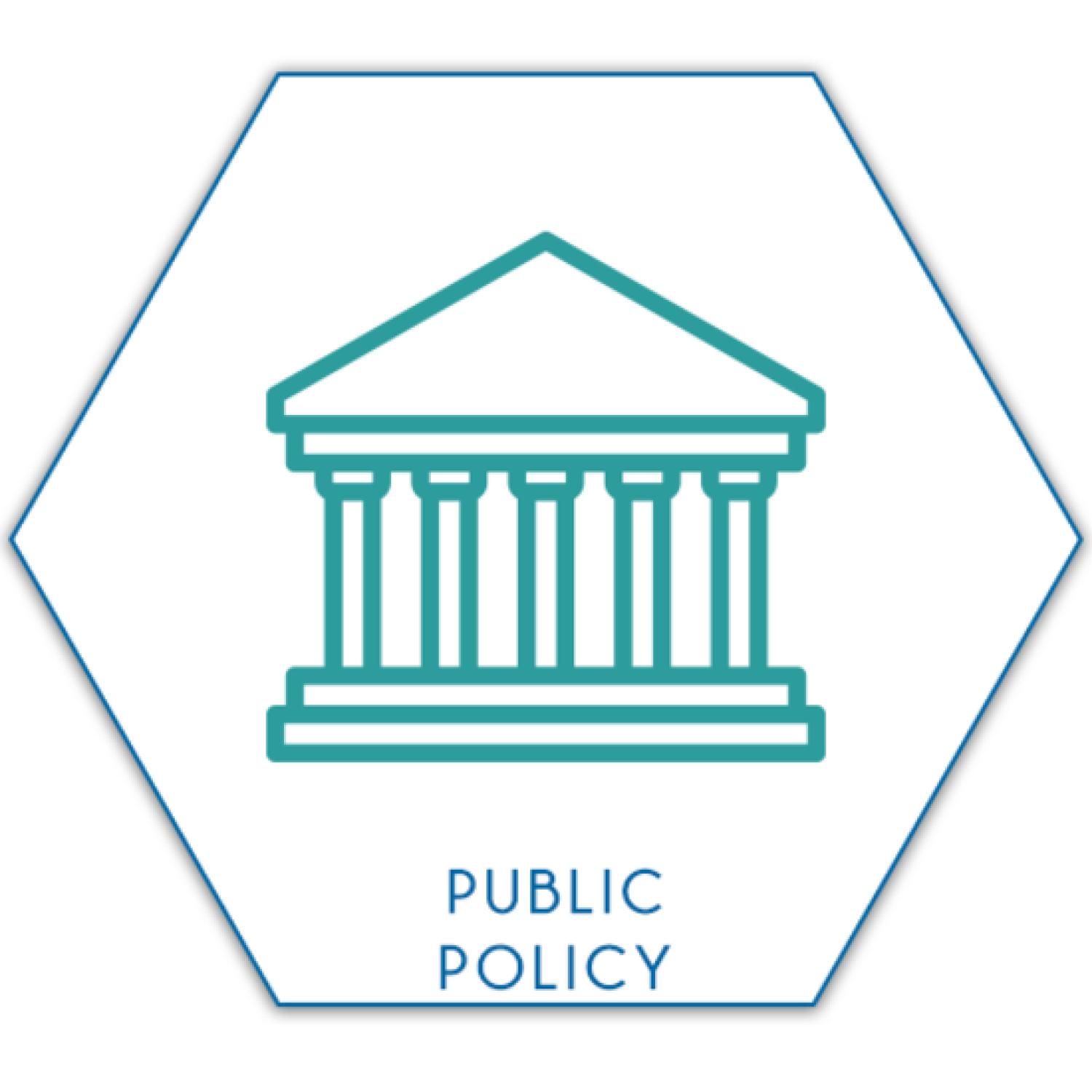 public Policy