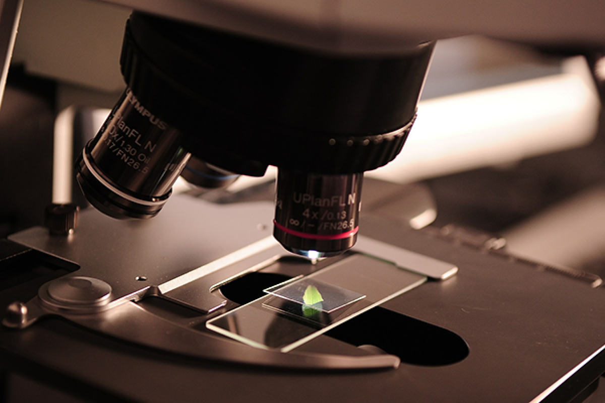 Chancellor's Postdoctoral Fellowship Program