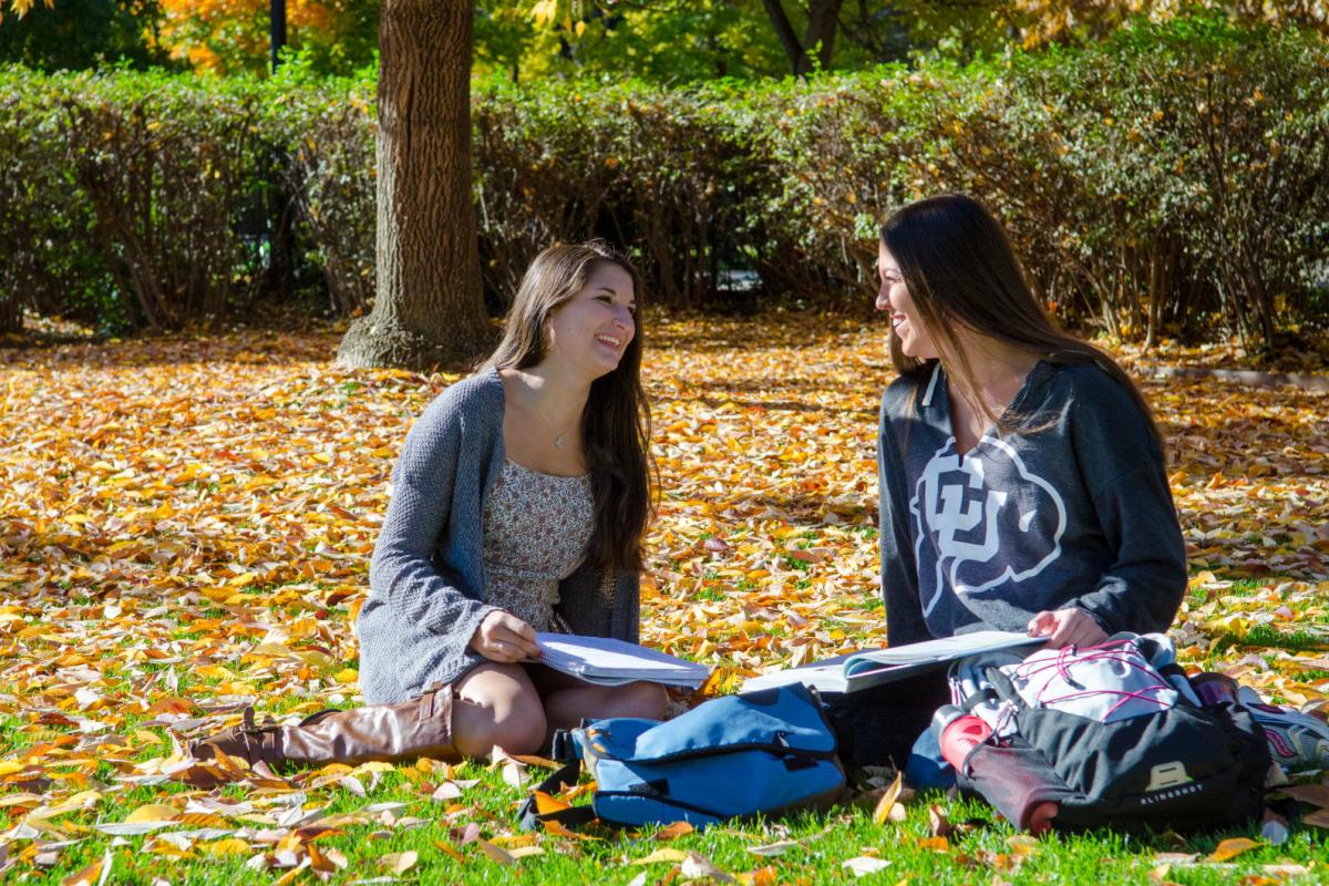 peer mentoring