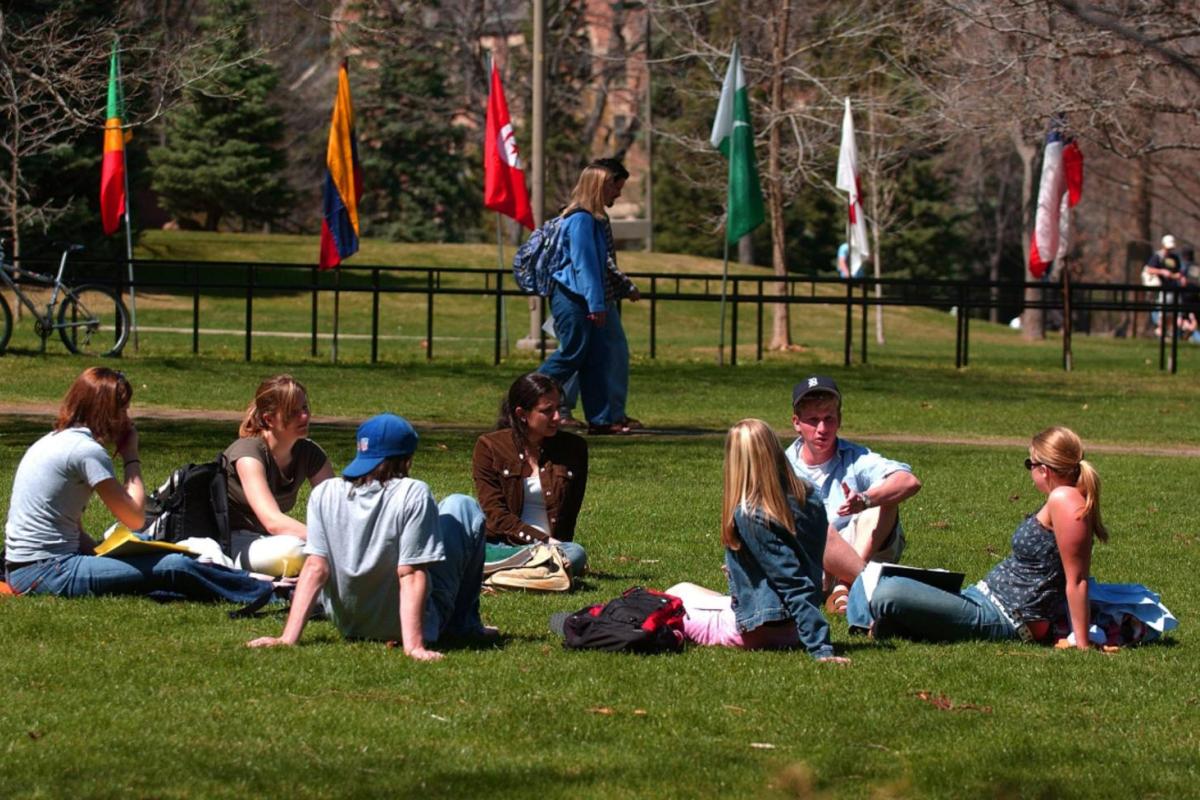 Studying in the grass