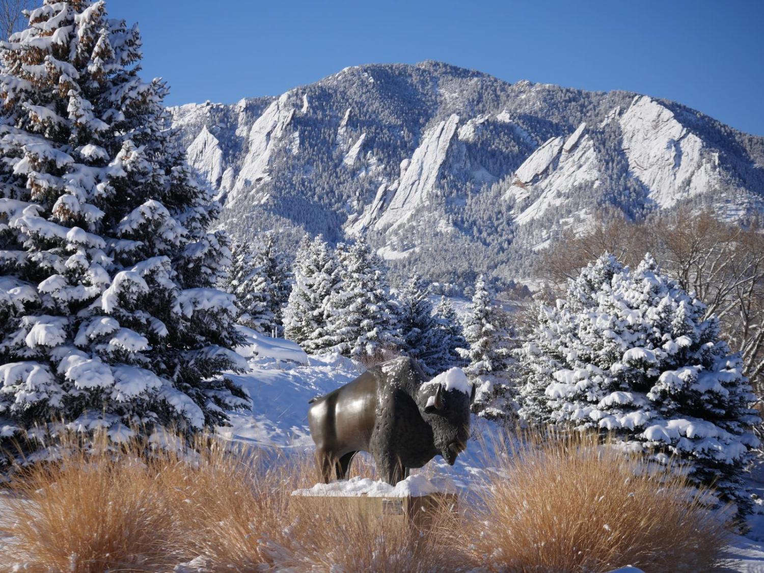 Snowy Ralphie statue