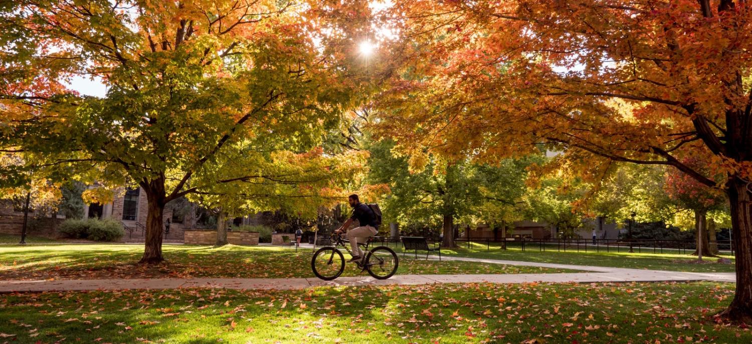 Man on bicycle in the fall