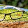 Map with glasses