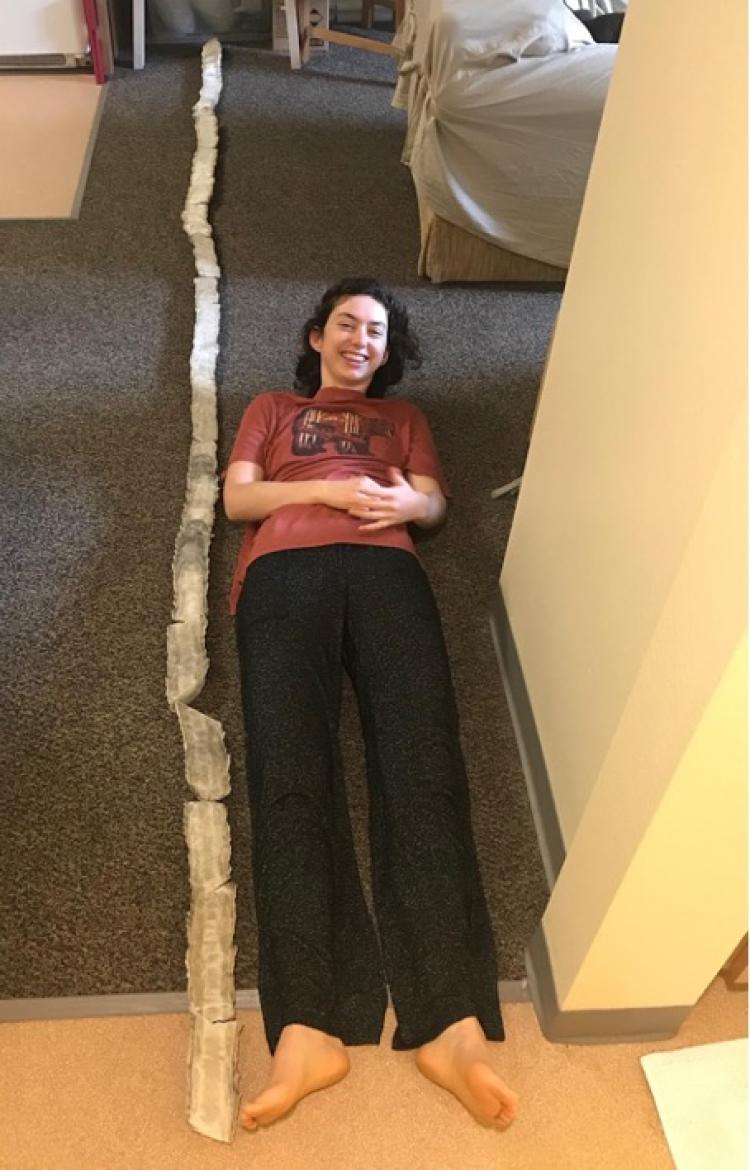ElizPatterson_Fig2