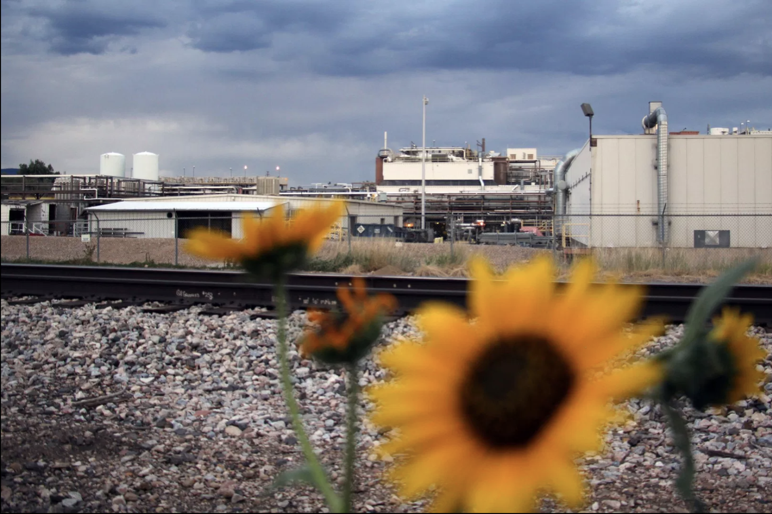Corden Pharma, a pharmaceutical company, sits beside a set of train tracks and a wooded area. The Environmental Protection Agency has stated that it releases toxins into Boulder Creek and St. Vrain Creek, among other areas.