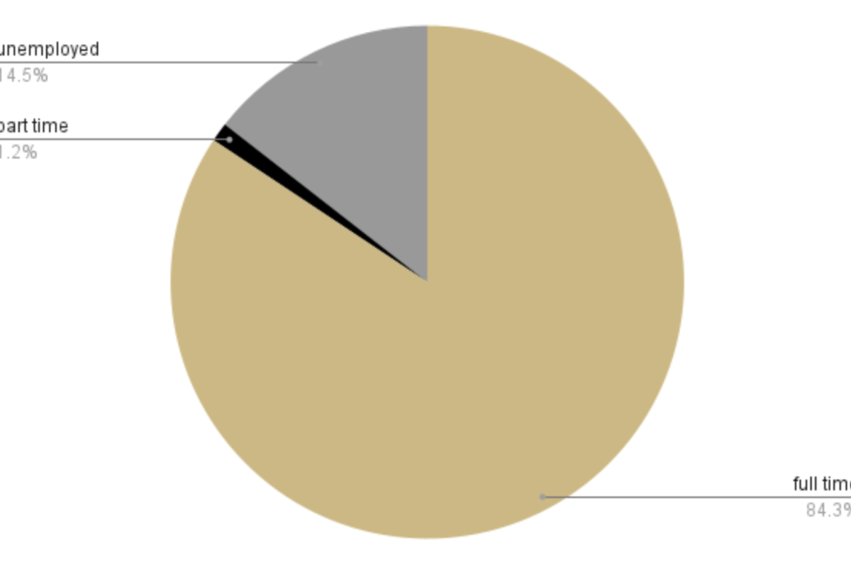 Employment Status Pie Chart