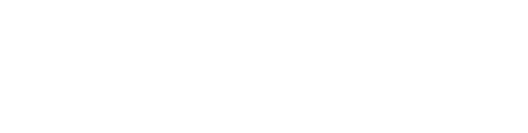 MSDS Logo White