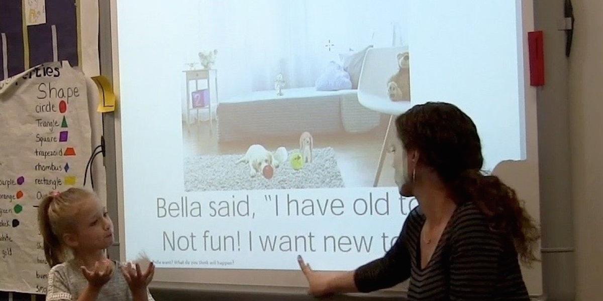 Reading Comprehension Lesson