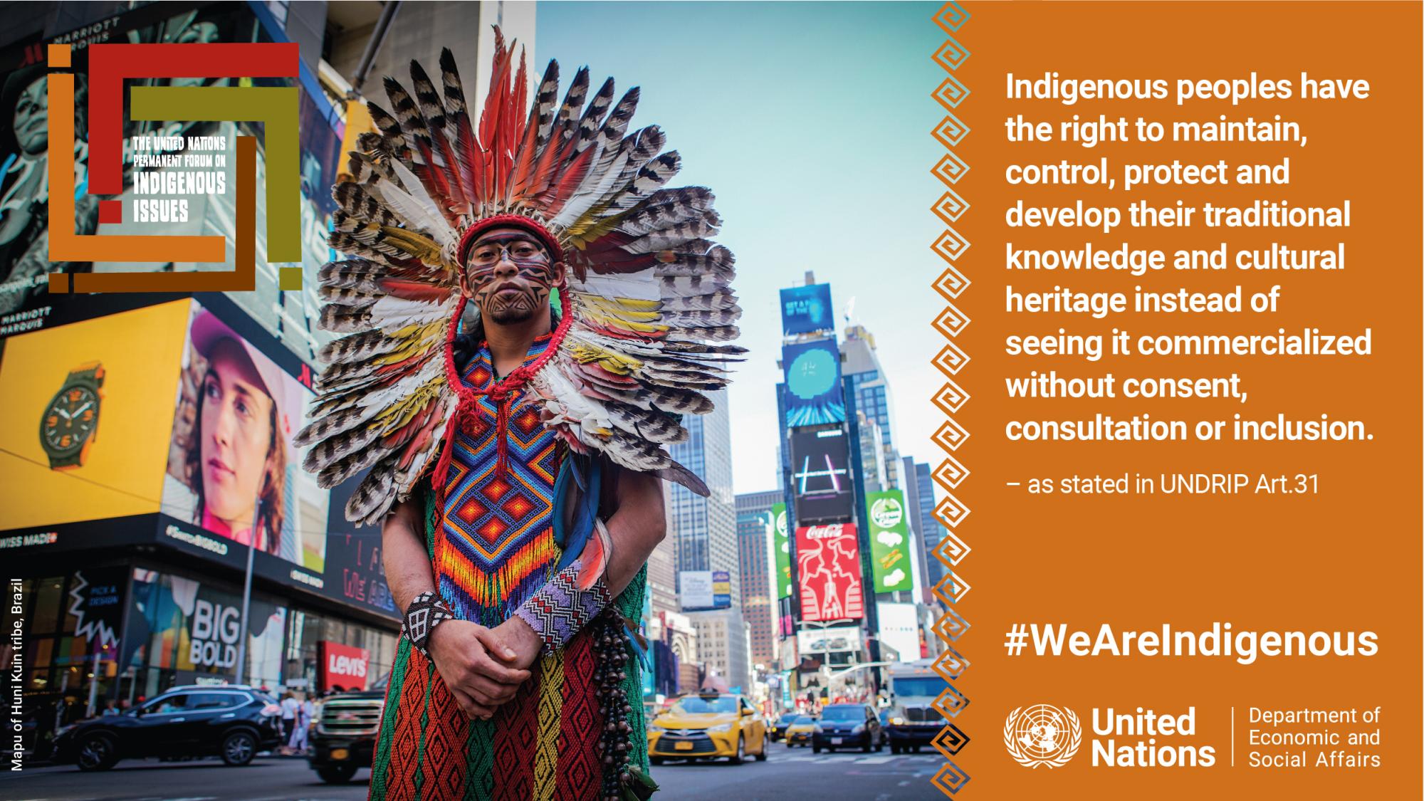 UNPFII 2022 Graphic