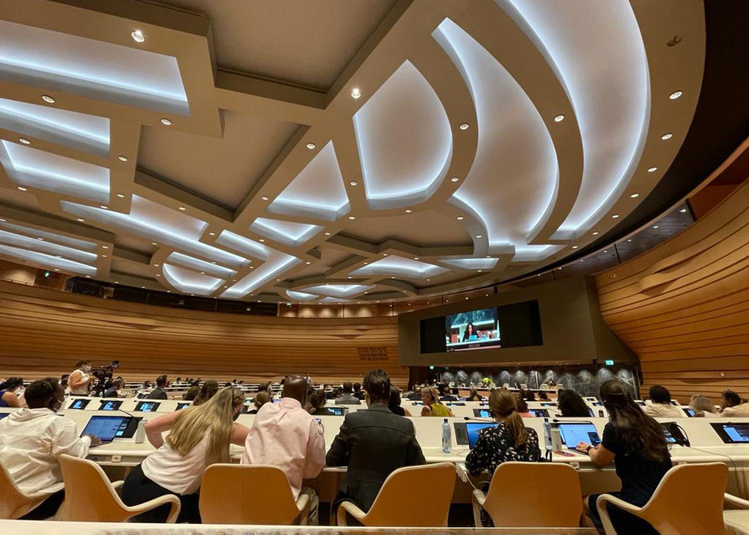 UN CERD Review of U.S. August 2022