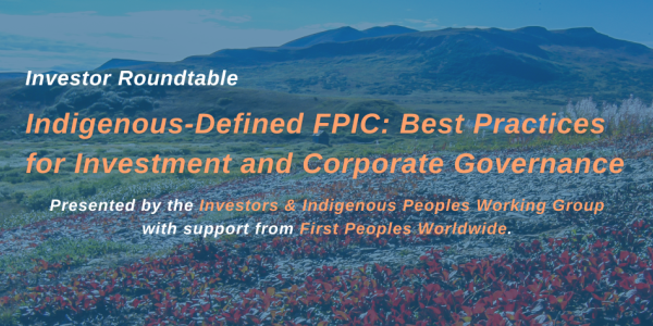 IIPWG FPIC Roundtable Banner