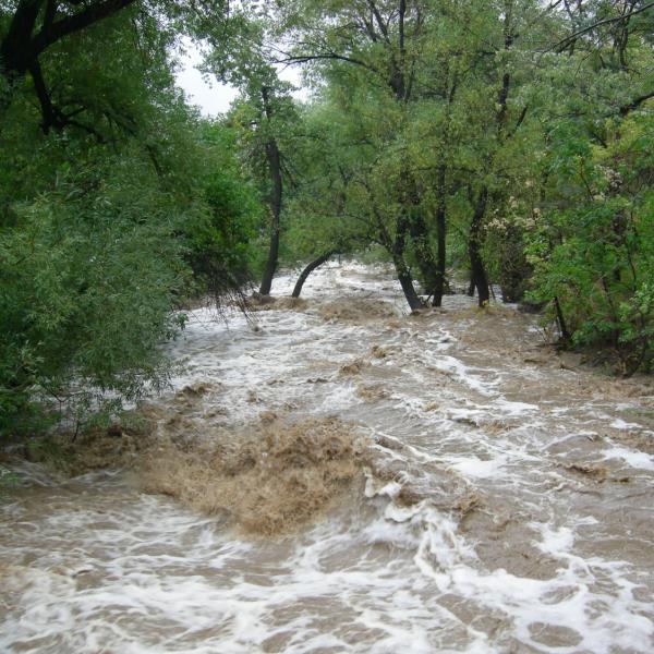 2013 flood: Boulder Creek near EFP
