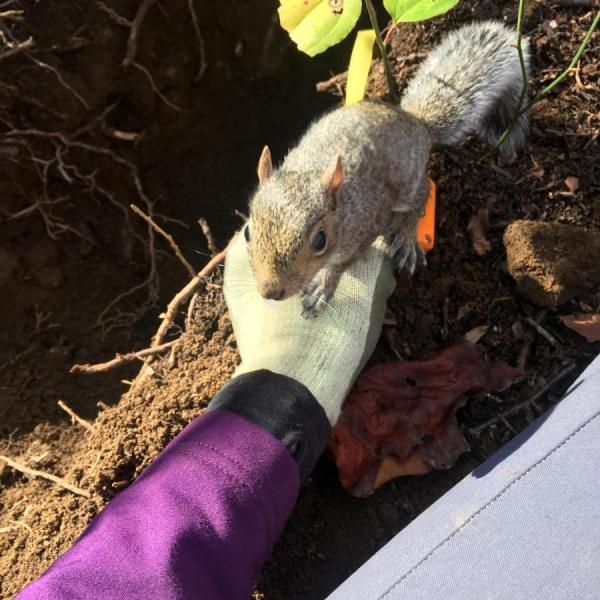 Jessie Egan in the woods with a squirrel on her shoulder