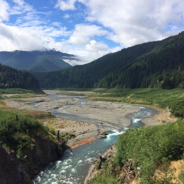 Former site of Lake Mills, Olympic National Park