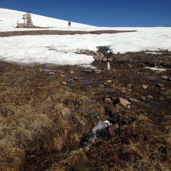 Niwot Ridge snowmelt hydrology