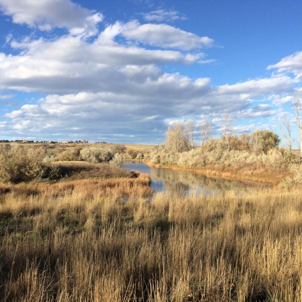 White Rocks trail Boulder Open Space