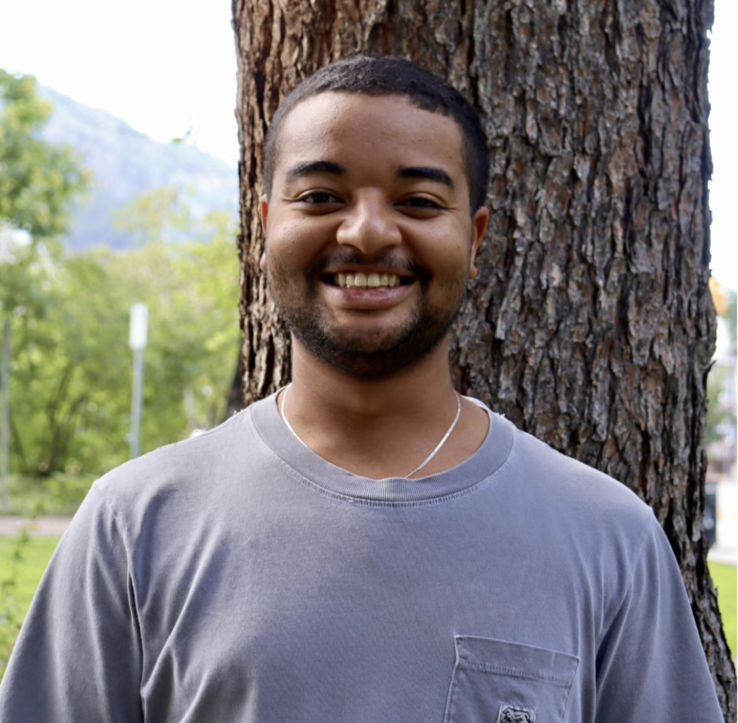 Virgil Alfred