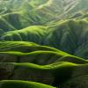 green hills