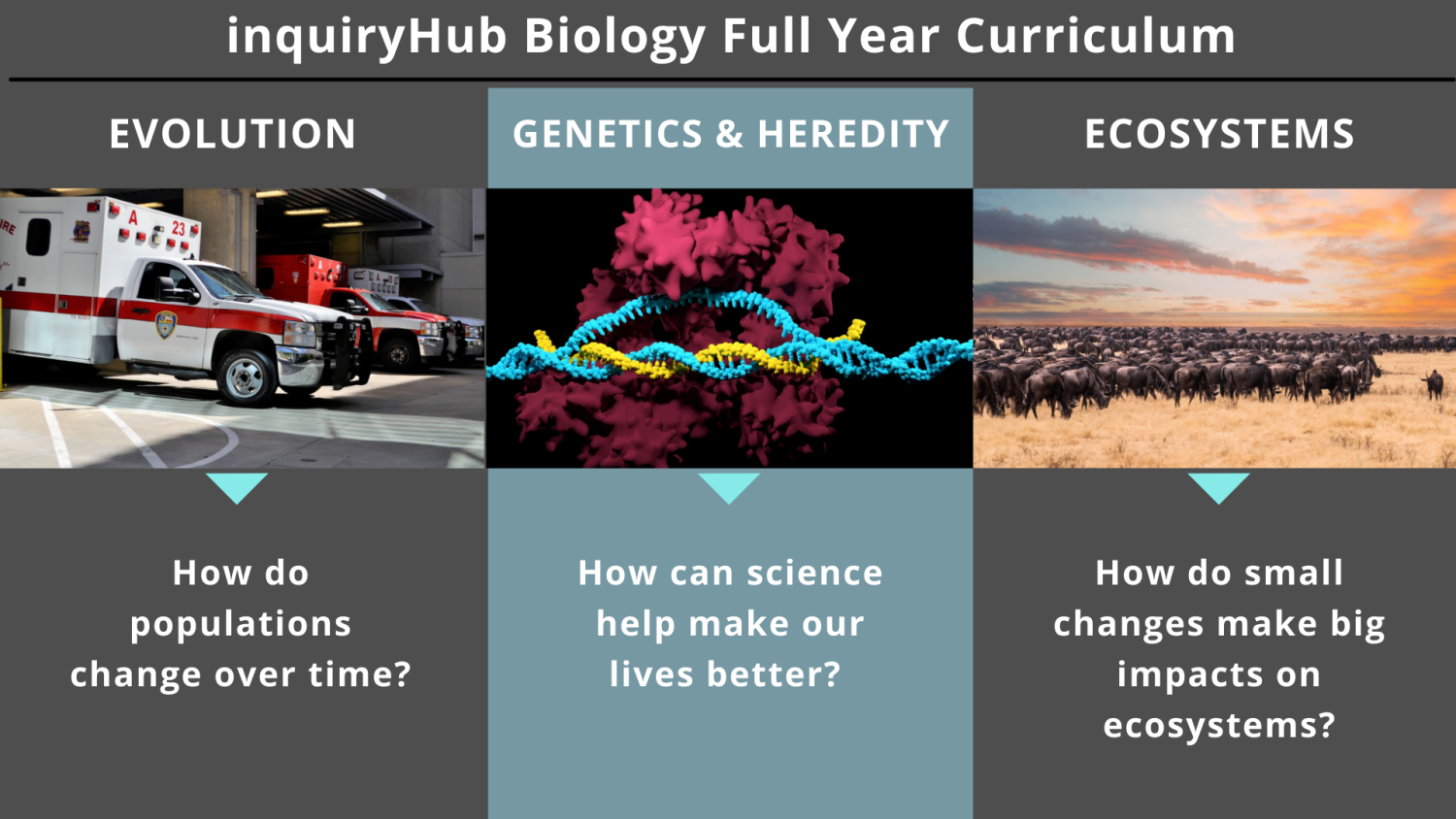 Bio Curriculum