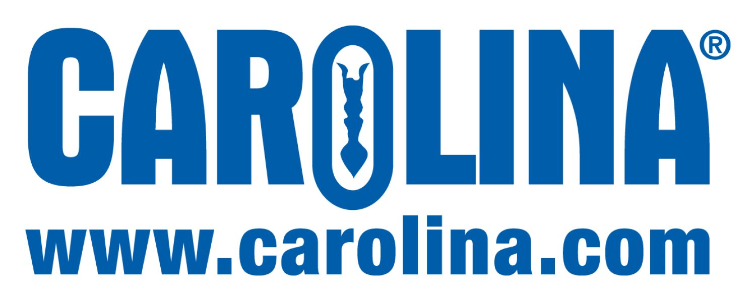 Carolina