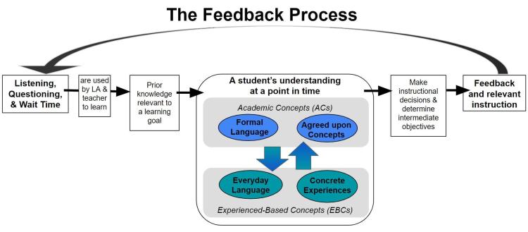Feedback Process