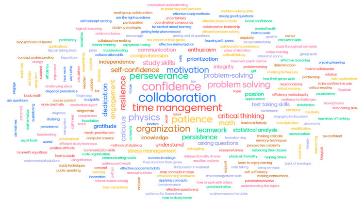 New LA Orientation Word Cloud