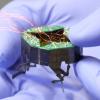 Kaushik Jayaram and his colleagues debuted a small, shapeshifting robot named CLARI in 2023.