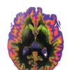 Brain scans
