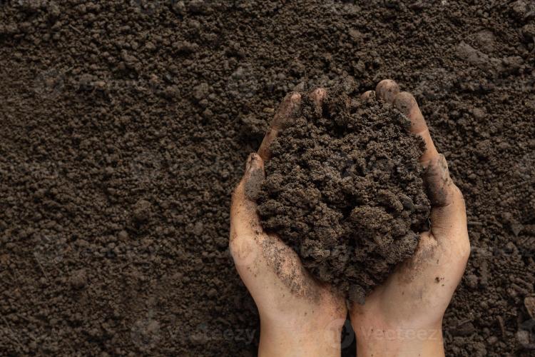 Soil