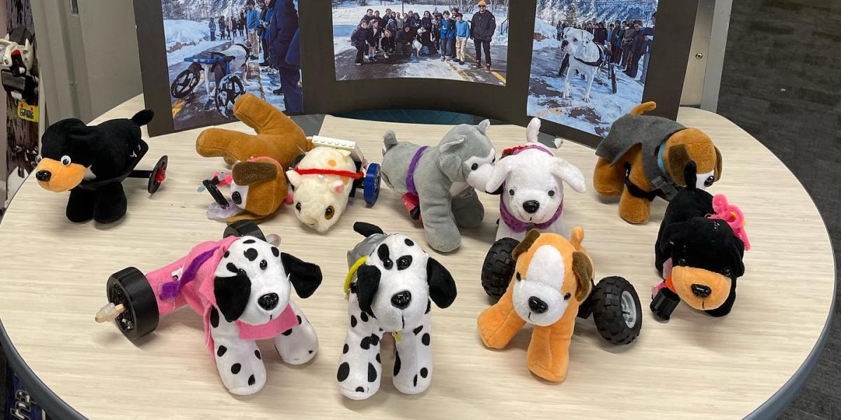 3D Printed Animal Prosthetics Design