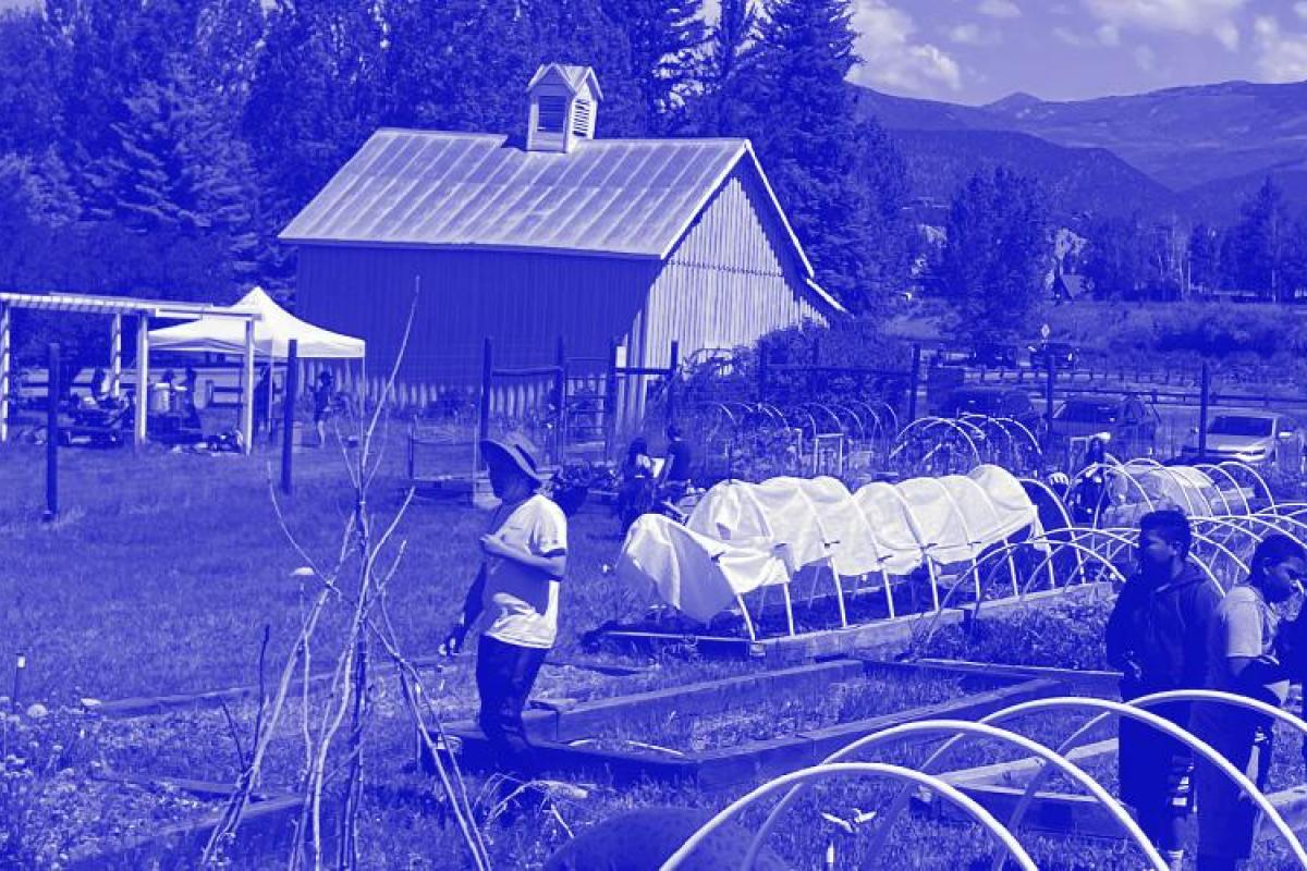 Youth exploring technology in community garden