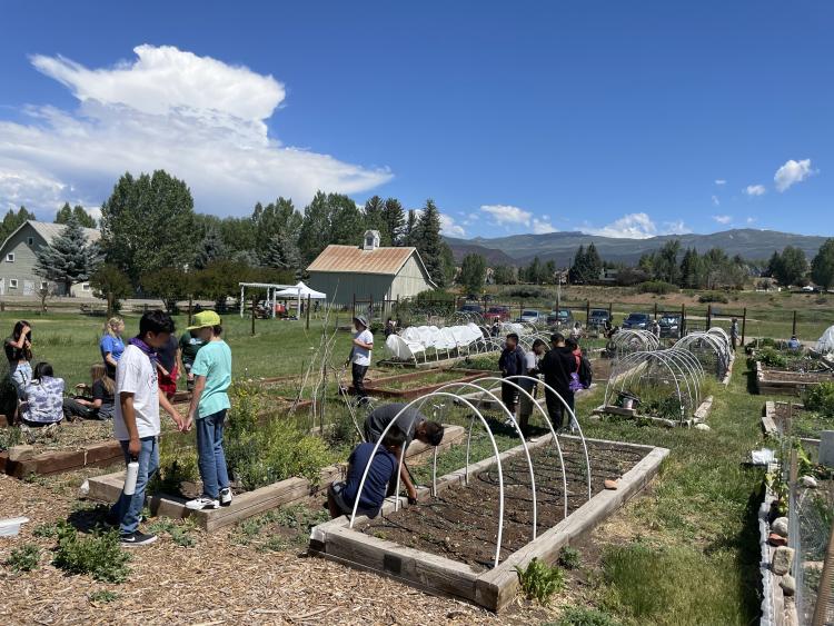 youth working in a community garden