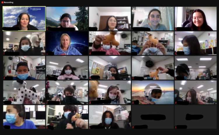 Zoom session with mentors