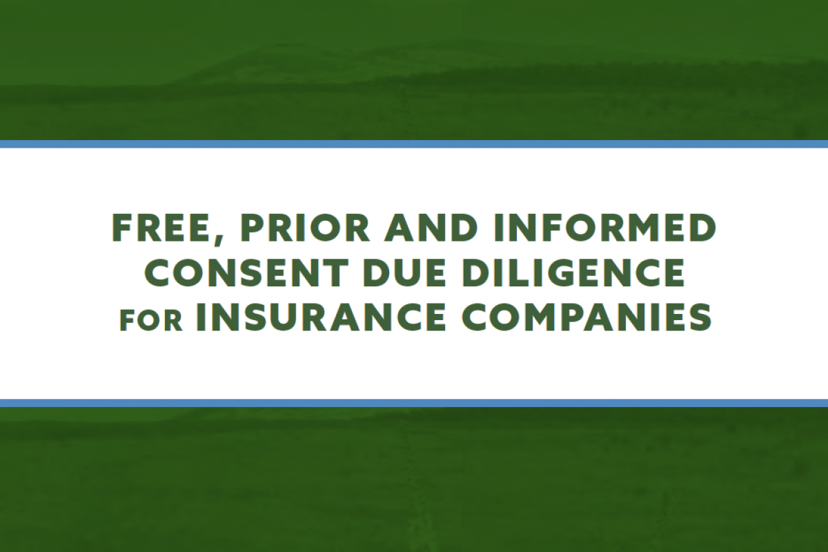 Insurance FPIC Guide Cover