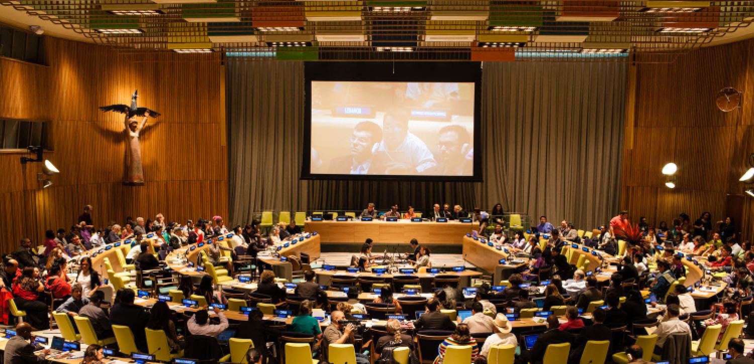 UNPFII 2022 Session