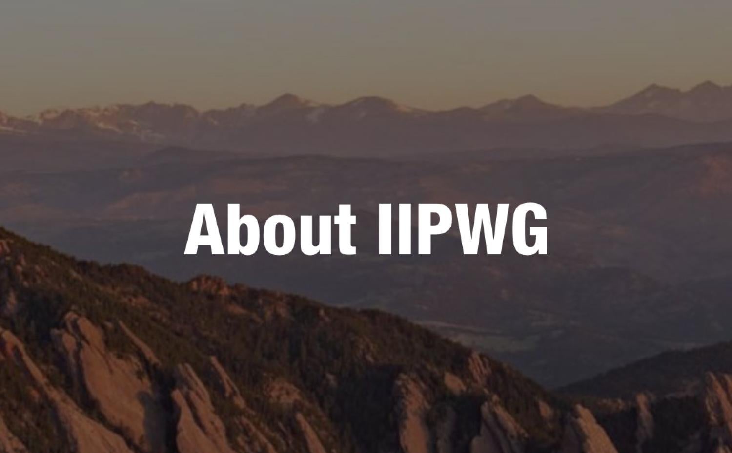 About IIPWG