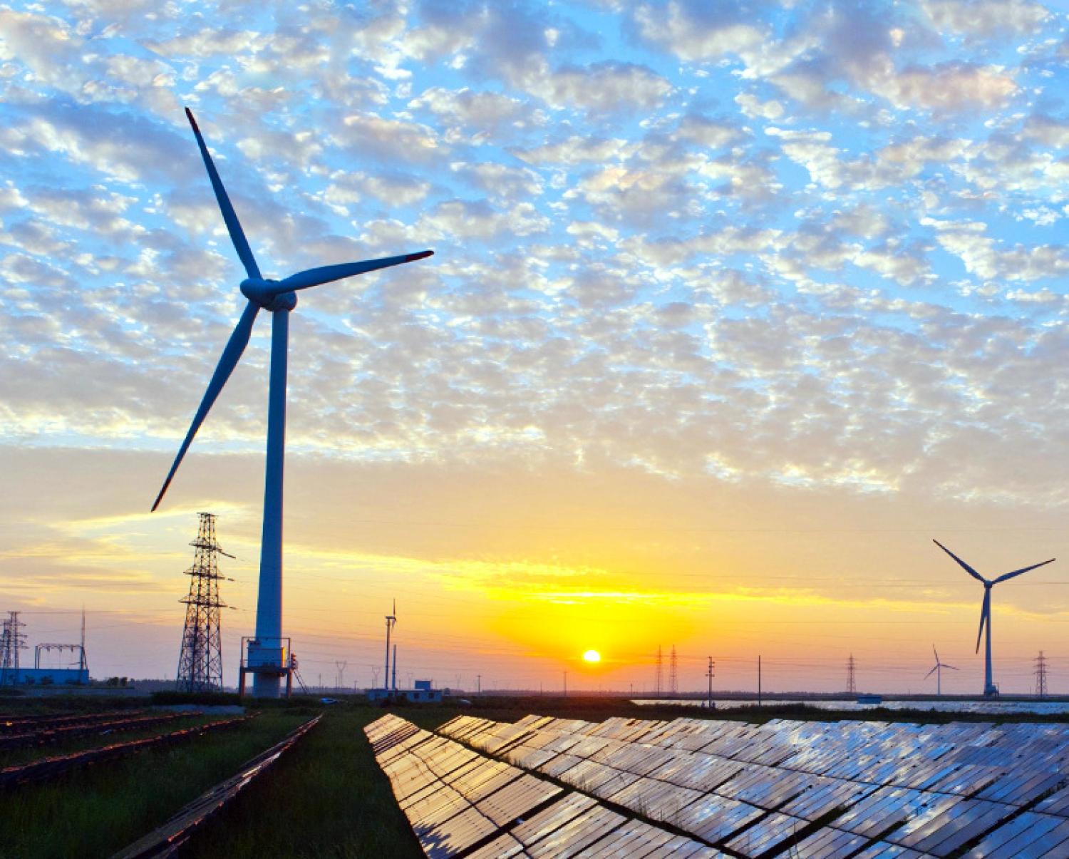 Renewable Energy Field