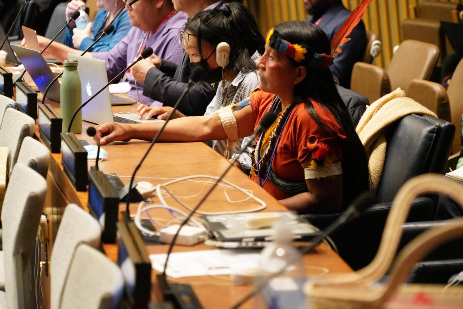 UNFPII Twenty First Session