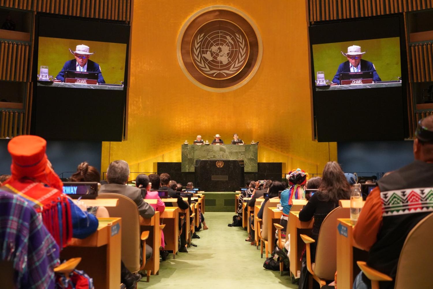 UNPFII 23 Image
