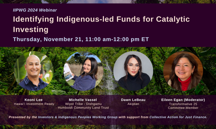 IIPWG Indigenous-led funds webinar