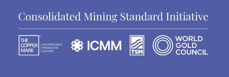 CMSI Banner