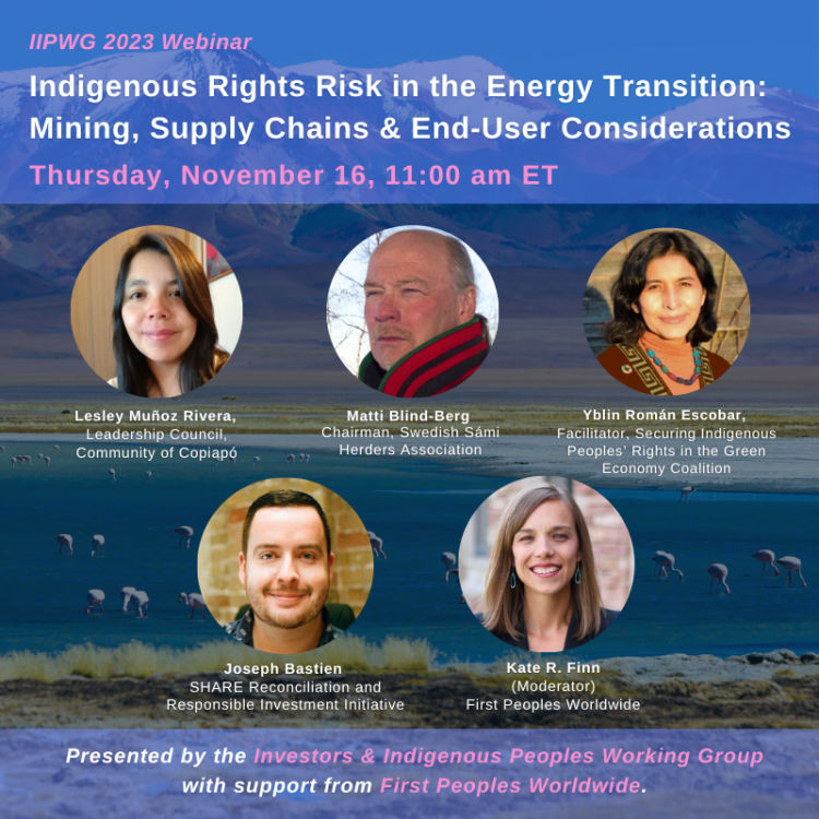 IIPWG TM Webinar Nov 2023 Square